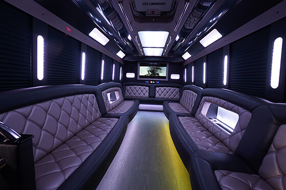 LED light system