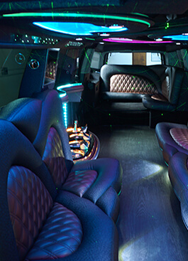 bicolor seats
